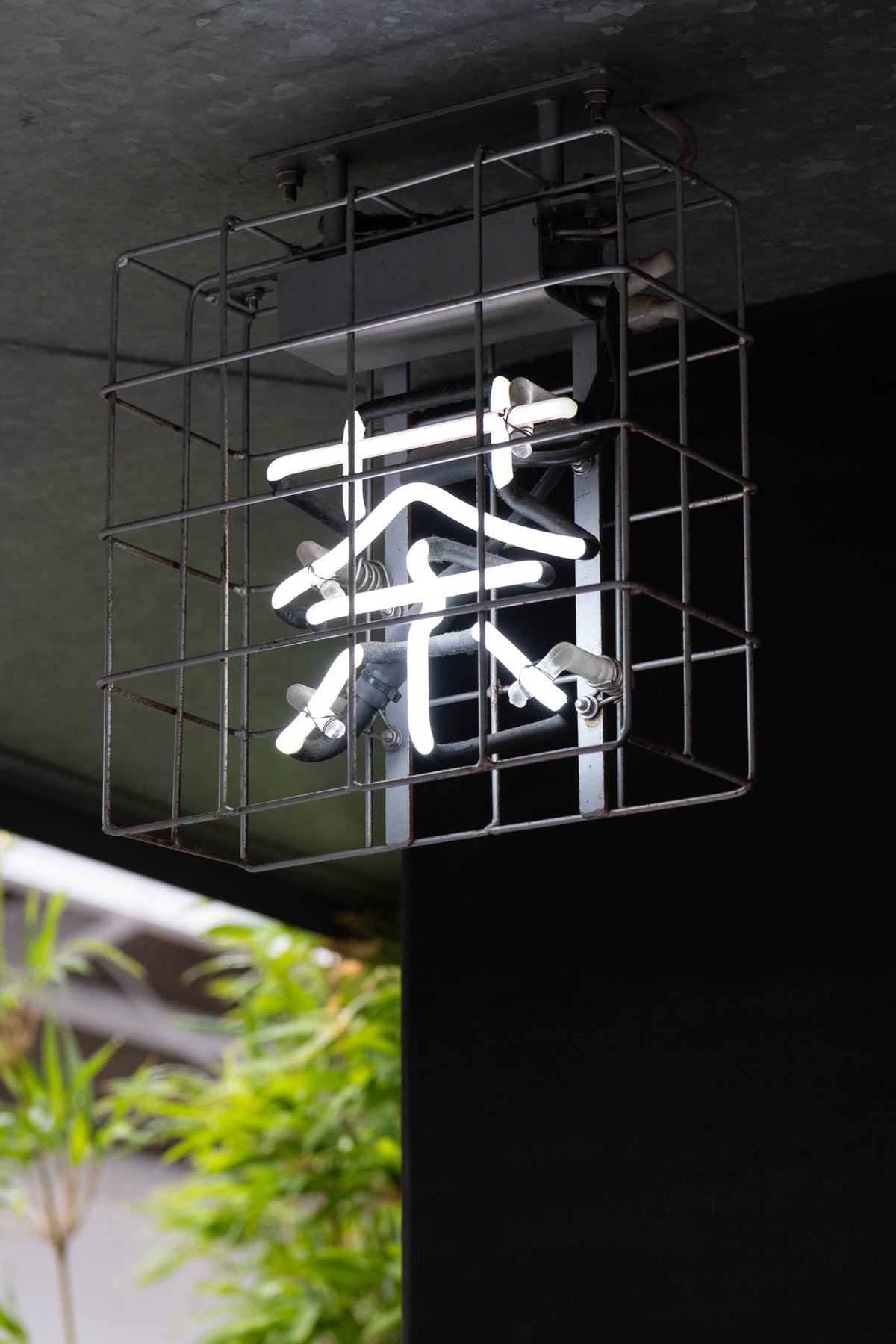 7tea+ A hidden tea shop gem in Kyoto