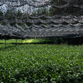 Miyu Matcha 20 g